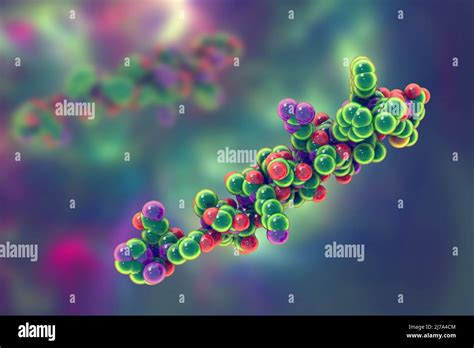 Glucagon hormone molecule, illustration Stock Photo - Alamy
