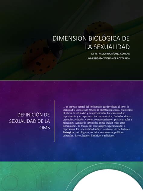 Clase 4 Dimension Biologica De La Sexualidad Pdf Intersexual La Sexualidad Humana