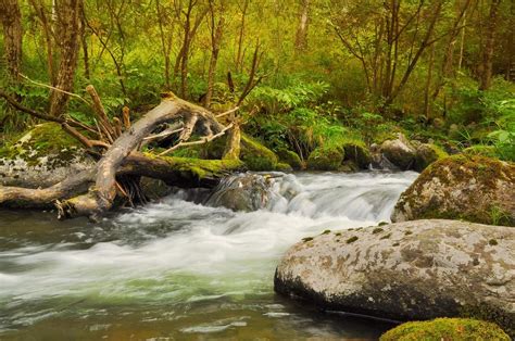 Fluss mit Z große Liste mit vielen Bildern Erklärungen