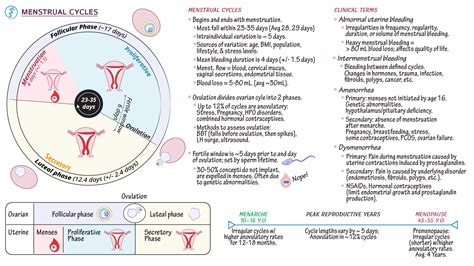 USMLE COMLEX Step 2 Menstrual Cycles Normal Variability And