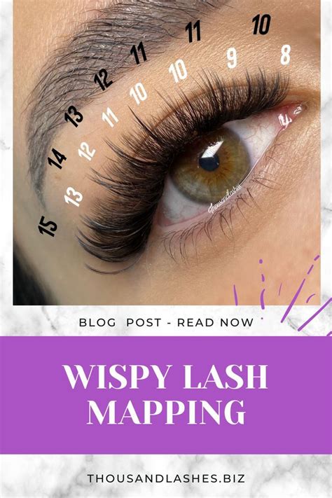 A Comprehensive Guide To Lash Mapping Wispy Lashes Lashes Whispy Lashes