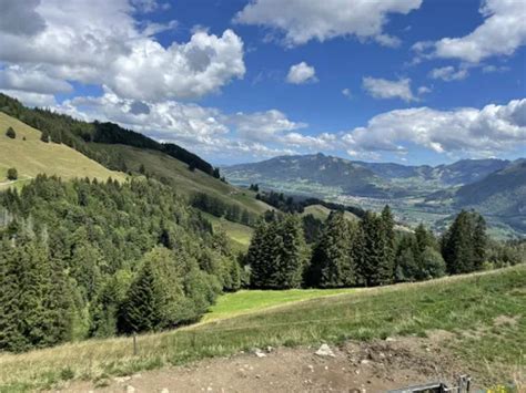 2023 Best Wild Flowers Trails In La Forêt De Bouleyres Alltrails