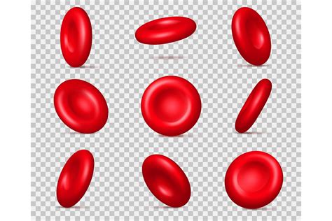 Red Blood Cells Iconixar Flat Icon Clip Art Library