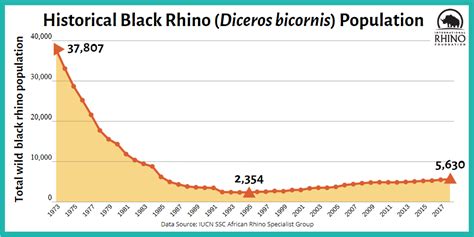 What It Means To Be Critically Endangered International Rhino