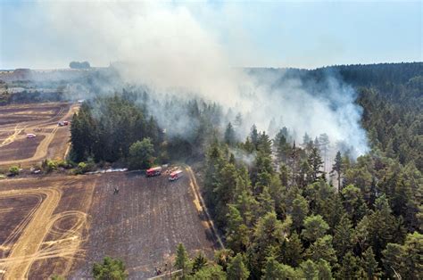 Waldbrand in Deutschland Wo es gefährlich ist was Sie beachten müssen