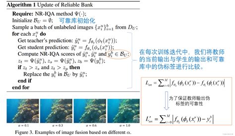 Contrastive Semi Supervised Learning For Underwater Image Restoration