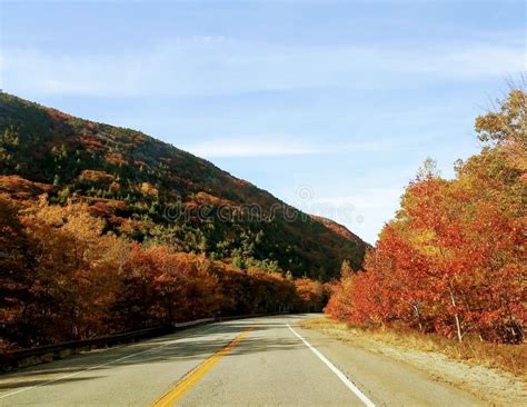 Fall Colors in Maine - Acadia Stock Image - Image of plant, forest ...