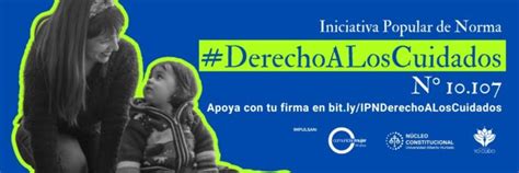 Iniciativa Popular De Norma Que Busca Consagrar El Derecho A Los