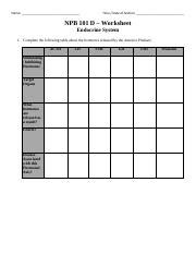 NPB 101D Worksheet Endocrine System SQ18 Pdf Name Time Date Of