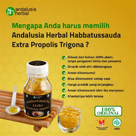 Jual Habbatussauda Extra Propolis Trigona 200 Kapsul Produk Original