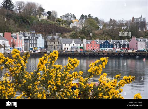 Balamory houses hi-res stock photography and images - Alamy