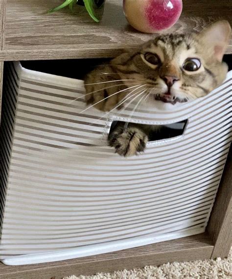 Cut A Hole In A Box Put Your Pussy In That Box R Tightpussy