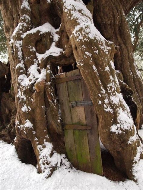 The Yew Tree - Crowhurst Parish Council Surrey