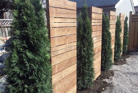 42 Beautiful Privacy Fence Ideas Inspirations In 2024 2024