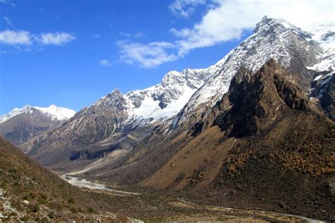 mountain area stock photo image  landscape forest