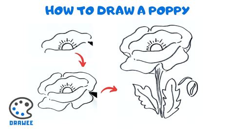 How To Draw A Poppy Youtube