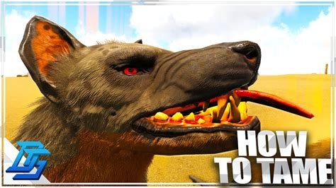 How To Tame Hyaenodon And Science Of Taming Ark Survival Evolved