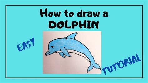 How To Draw A Cartoon Dolphin Easy Step By Step Tutorial Youtube