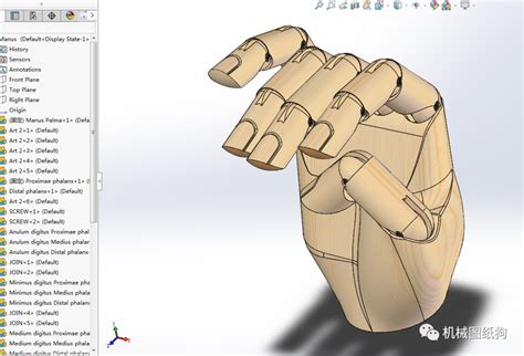 【机器人】manus仿生手掌手指模型3d图纸 Solidworks设计 附step 知乎