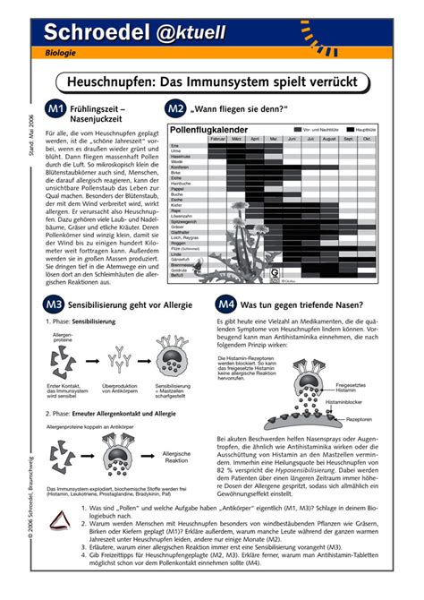 Heuschnupfen Das Immunsystem Spielt Verr Ckt Ein Arbeitsblatt Ber