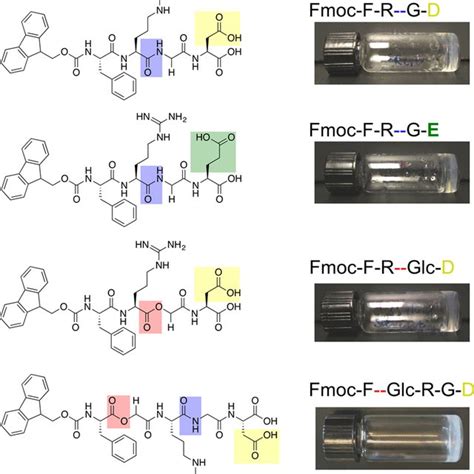 Molecular Structures Of Self Assembling Peptides And Depsipeptides