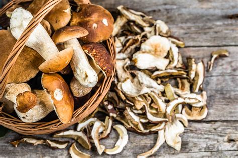 Funghi Porcini Come Si Cucinano E Ricette