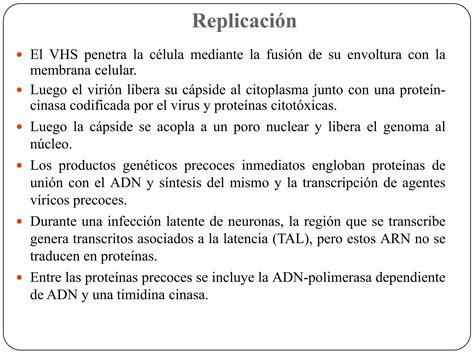 Virus Del Herpes Tipo 1 Y 2 Ppt