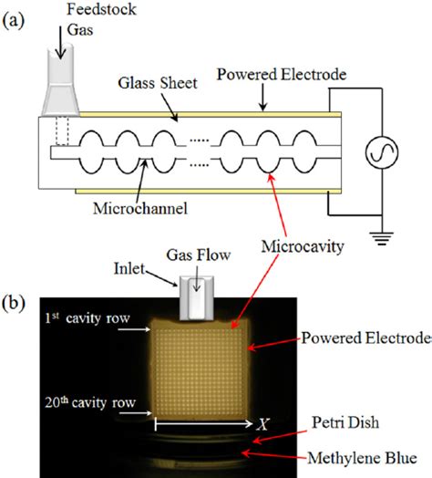 A Cross Sectional Diagram Not To Scale Of The Microcavity Plasma