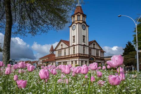 25 Photos To Inspire You To Visit Rotorua Young Adventuress