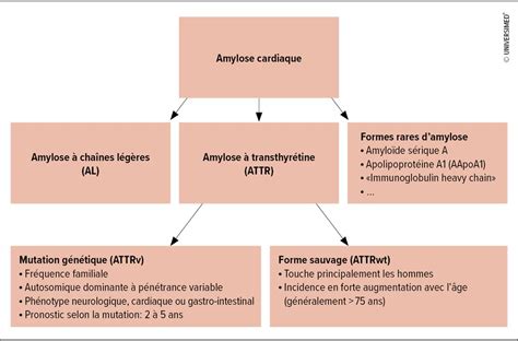 Amylose cardiaque diagnostic rapide traitement précoce Médecine