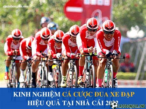 Cá Cược đua Xe đạp Là Gì Các Kèo đặt Cược Và Kinh Nghiệm Chơi Tại Nhà