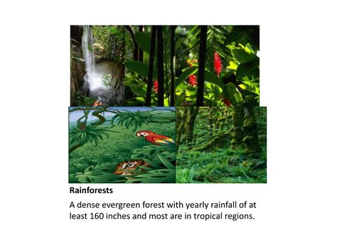 Landforms Ppt