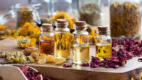 12 Best Essential Oil Brands for Healthy Living - The Trend Spotter