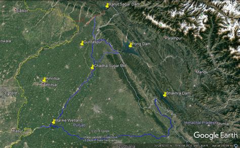 Gurdaspur Sugar Mill Molasses Release Leads To Beas River Fish Kill