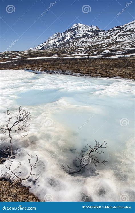 Spring Melt In The Yukon Stock Photo Image Of Mountains 55929060