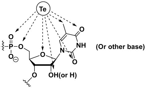 Nucleic Acids Atoms