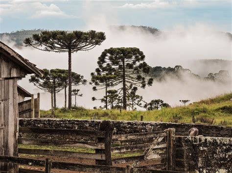 Serra Catarinense Cidades O Que Visitar Onde Ficar Viajoteca