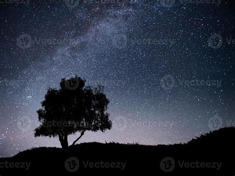 Paysage Avec Ciel Toil De Nuit Et Silhouette D Arbre Sur La Colline