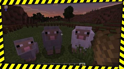 Minecraft How To Breed Sheep YouTube