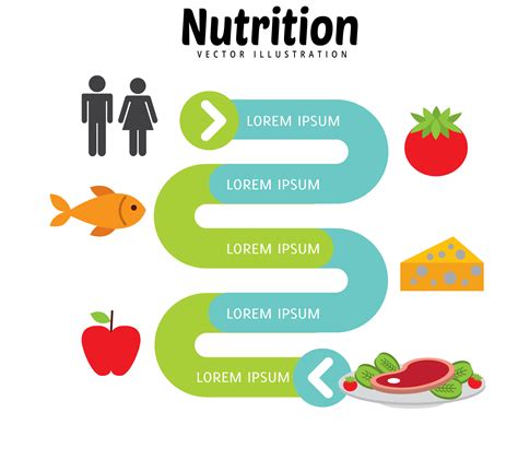 30 Food Infographics You Can Edit And Download