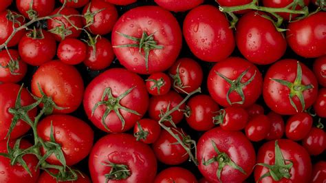 Why Tomato Prices Doubled In Days Reaching Rs 100kg