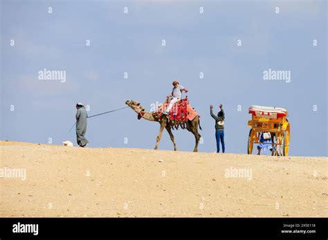 Tourist takes a camel ride in the Sahara Desert while gesturing to cart driver. Egypt Stock ...