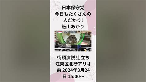 ①日本保守党 今日もたくさんの人だかり 飯山あかり 街頭演説 辻立ち 江東区北砂アリオ前 2024年3月24日 15：00～ Youtube