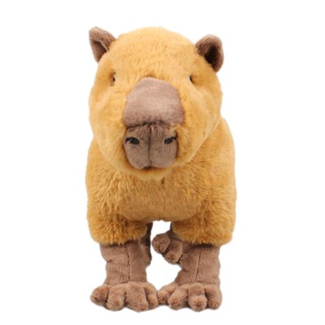 Buy 5 Pcs Capybara Stuffed Animal | Realistic Capybara Plush Toy,Lovely