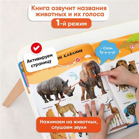 Говорящая книжка BertToys большая нажималка животные купить по цене ...