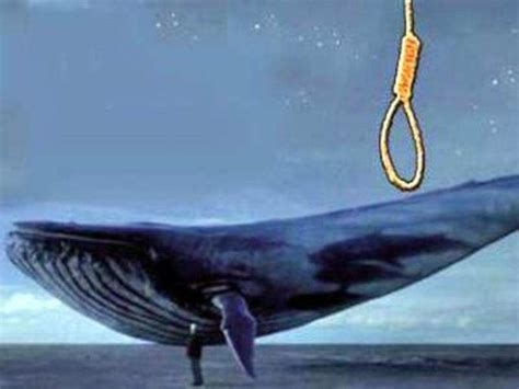 Blue Whale Challenge The Reality Behind The Theory Of Killer Game ‘blue Whale’