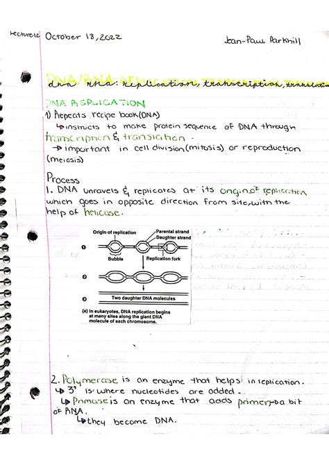 DNA Replication - 101-901-RE - John Abbott - Studocu