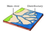 Ncert Solutions For Class Social Science Geography Chapter Our