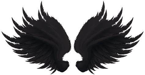 Clip Art Image Openclipart Art Museum Bone Wings Png Download 8000