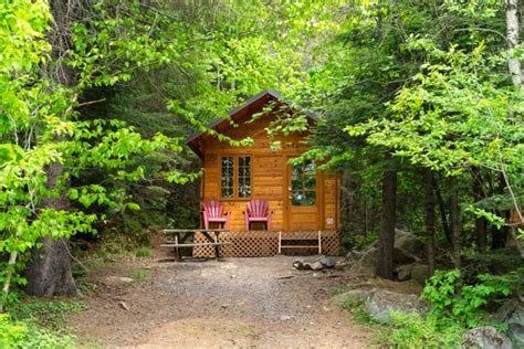 How To Build A Permanent Shelter In The Wilderness